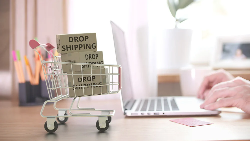 Le dropshipping
