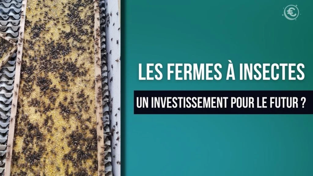 Fermes à insecte